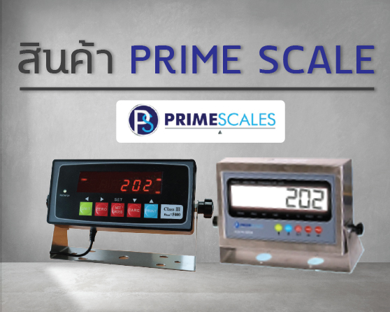 PRIME SCALE